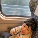 기차타고 부산여행🚝🚝 이미지