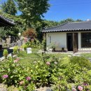 공주-02 | [공주] 로컬하우스 02 (공주 숙소 추천, 공주 숙소 후기)