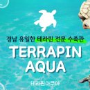 테라핀아쿠아