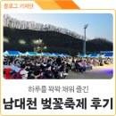 성광천막 | 경북 의성 봄나들이 <제1회 남대천 벚꽃축제>에 다녀왔어요! 생생후기