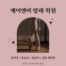 케이앤비발레학원