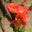 예전무도장 이미지