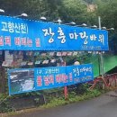 마당바위유원지 네이버블로그