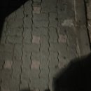 푸파501 이미지