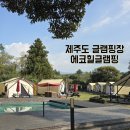 제주 글램핑 수영장 있는 제주 캠핑장 에코힐글램핑