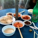 철우농장 Daum카페