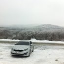 정실비식당 이미지