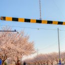 지하철체육공원역 이미지