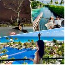 뉴욕버거 하단점 | 뉴욕3박 칸쿤6박(스칼렛아르떼+하얏트지바) 9박 12일 신혼여행 경비 및 일정 총정리