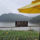 바실라 | 경주 카페 바실라 | 해바라기 뷰맛집 내돈내산 후기