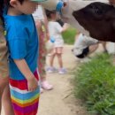 지누농장 이미지