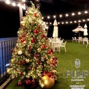 크리스마스 트리 이미지