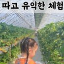 이영현농장 이미지