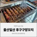 진가네양꼬치 | [울산 맛집] 후구구양꼬치구이, 일산동 맛집에서 즐기는 역대급 꿔바로우와 양꼬치