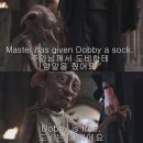 도니야돈 | [후기] ‘창경궁 기이한 이야기’ 투어_야간에 창경궁 나들이하기