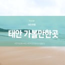 만리포전망대 | 태안여행)태안가볼만한곳 만리포해수욕장 전망대 뭍닭섬