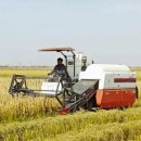 채령농장 이미지