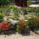 오성농원 이미지