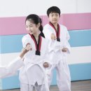글로벌 태권도장 이미지