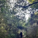 해수스파호텔코자 이미지