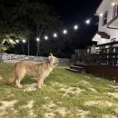 돌담과 초록 이미지