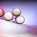 수곡낚시터 펜션 이미지