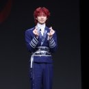 보조개강쥐 티브이데일리