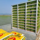 사비농장 이미지