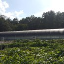 도연농장 이미지