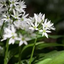 이민준한의원 이미지