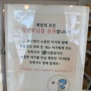모찌이야기 본점 | 광교 카페거리 디저트 모찌가 본점, 생과일모찌 솔직후기