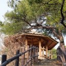 모악산마실길 2코스 이미지