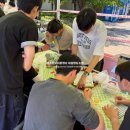 청소년 축제에서 만난 원주 인식개선 프로그램 현장 후기