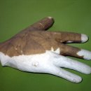 춘천인형극장 이미지