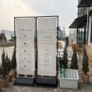 진심계절맛집 | 진심 1등 청주 소금빵 맛집, 분위기 좋은 '토성마을' 솔직후기 / 고구마, 명란소금빵