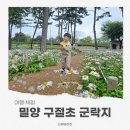 삼문송림길 | 밀양 구절초 군락지 후기｜삼문체육공원 옆 가족산책 코스 추천