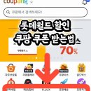 월드 헤라 | 롯데월드 자유이용권 할인 쿠폰받기 쿠팡 4인 총 9만원대 구매후기