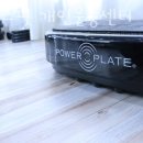 필리스 핏 이미지