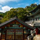 중앙길(문화의거리)상가 이미지