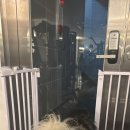 블루베리짐 이미지