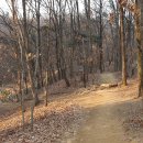 원주굽이길 원10코스 바람머리산길 이미지