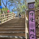 자재암 | 소요산역 벚꽃 명소, 자재암_산나물박사 소요산점 후기