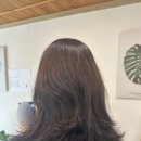 송림헤어 - 남구 | 송림헤어