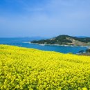 제주도가 이미지