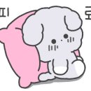 멍줍 강아지 산책 유치원 이미지