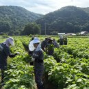 영락의료과학고등학교 이미지