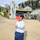 11월 강원도 평창 아기랑 가볼 만한 곳 대관령 주주파크 동물농장 내돈내산