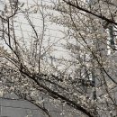 역전대명야채 | 전북 군산 여행 당일치기, 센트럴시티 고속터미널 버스 왕복 초원사진관 포토존 물총 칼국수 맛집...