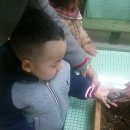 양덕어린이집 이미지