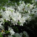 기드온(주) 이미지